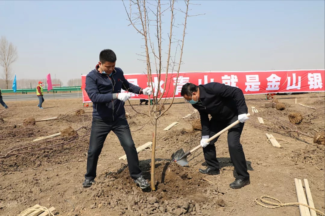 开展植树绿化活动 为绿美吉林添新绿3.jpg