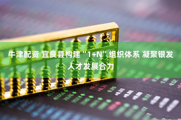 牛津配资 宜良县构建“1+N”组织体系 凝聚银发人才发展合力
