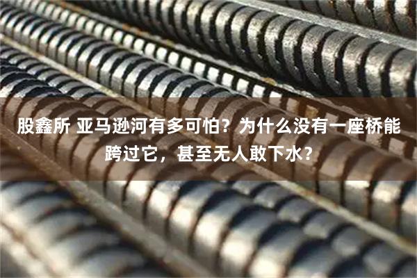 股鑫所 亚马逊河有多可怕？为什么没有一座桥能跨过它，甚至无人敢下水？