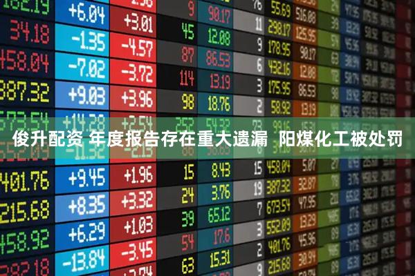 俊升配资 年度报告存在重大遗漏  阳煤化工被处罚