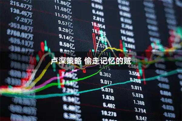 卢深策略 偷走记忆的贼