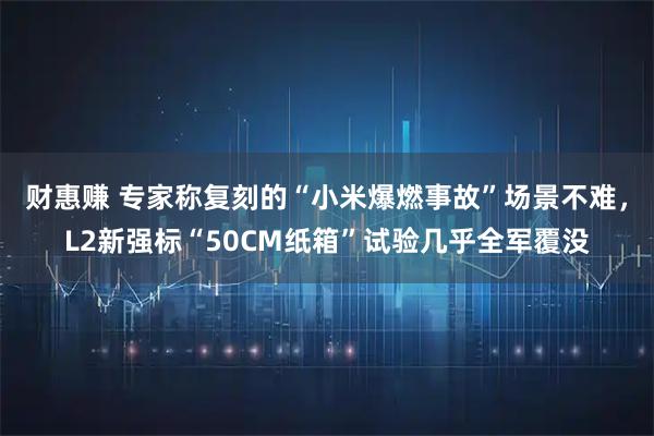 财惠赚 专家称复刻的“小米爆燃事故”场景不难，L2新强标“50CM纸箱”试验几乎全军覆没