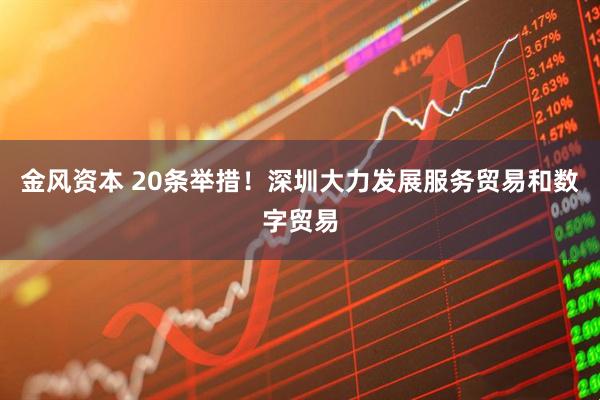 金风资本 20条举措！深圳大力发展服务贸易和数字贸易