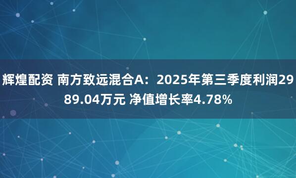 辉煌配资 南方致远混合A：2025年第三季度利润2989.04万元 净值增长率4.78%