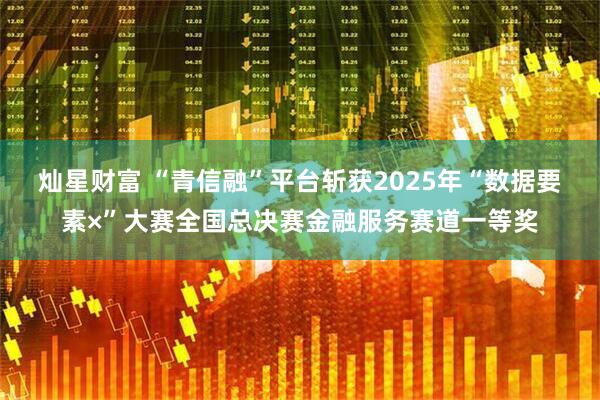 灿星财富 “青信融”平台斩获2025年“数据要素×”大赛全国总决赛金融服务赛道一等奖